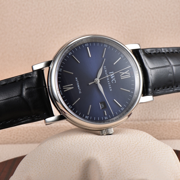 アイ・ダブリュー・シー側面デザイン